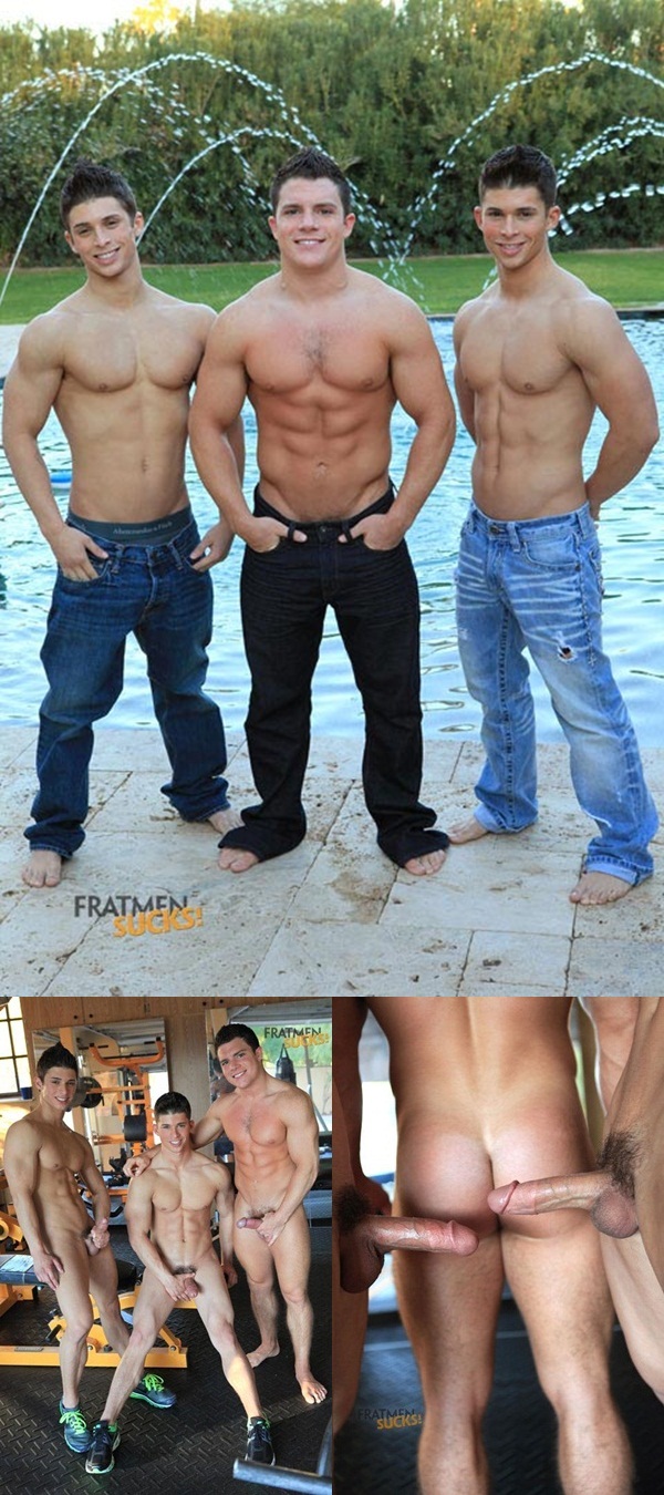 Ajay fratmen