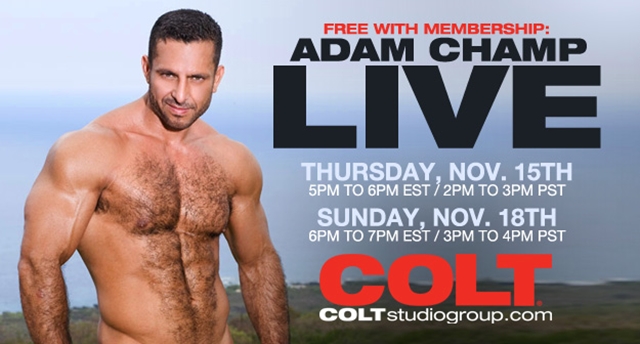 Colt Studios Adam Champ Live Webcam 01 Ripped Muscle Bodybuilder Strips Naked and Strokes His Big Hard Cock torrent photo1 - Colt Studios - Adam Champ live!